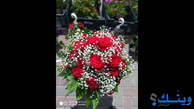 ازهار الربيع