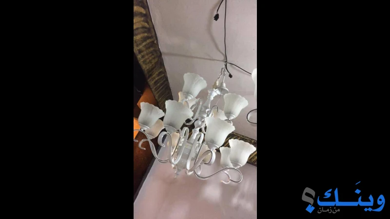 شركة صوفان اخوان