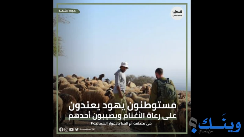 الفلسطينية الفضائية