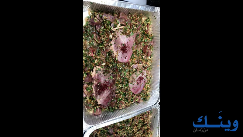 ملحمة نصري ابو صالحة