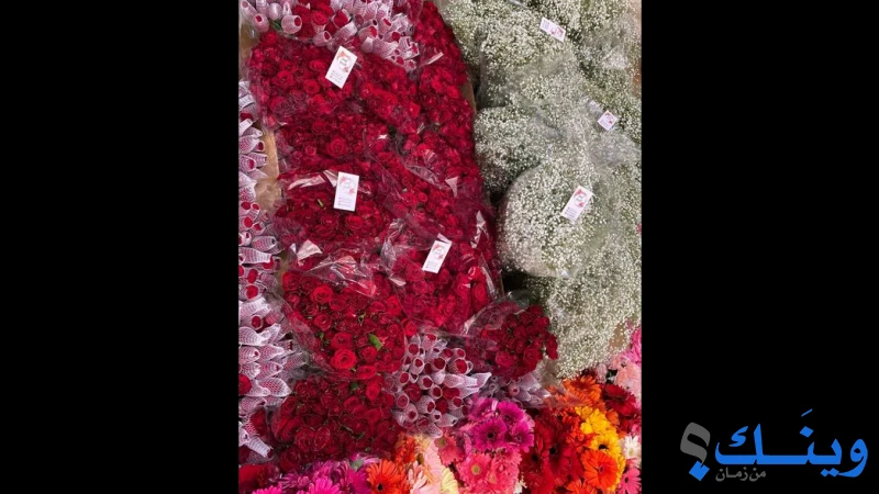 ازهار الربيع