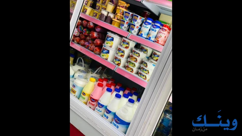 شركة بينار للتجارة العامة