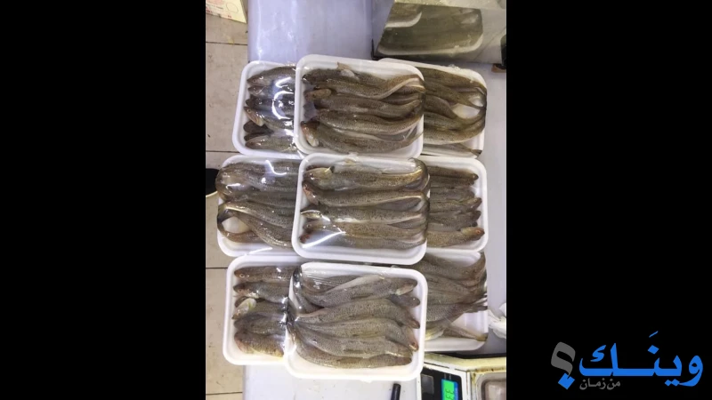 سوبرماركت ومسمكة عكا