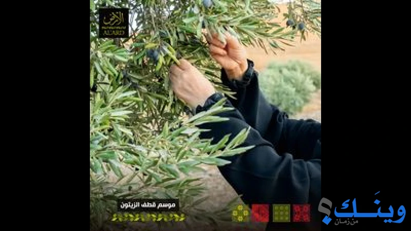 الأرض للمنتوجات الزراعيه الفلسطينيه -  مجموعه عنبتاوي