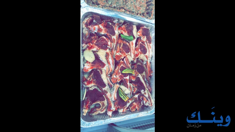 ملحمة نصري ابو صالحة