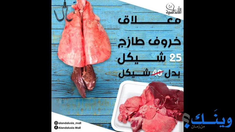 الاندلسية مول