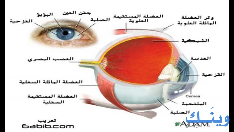 مركز الاغاثة الطبية للبصريات