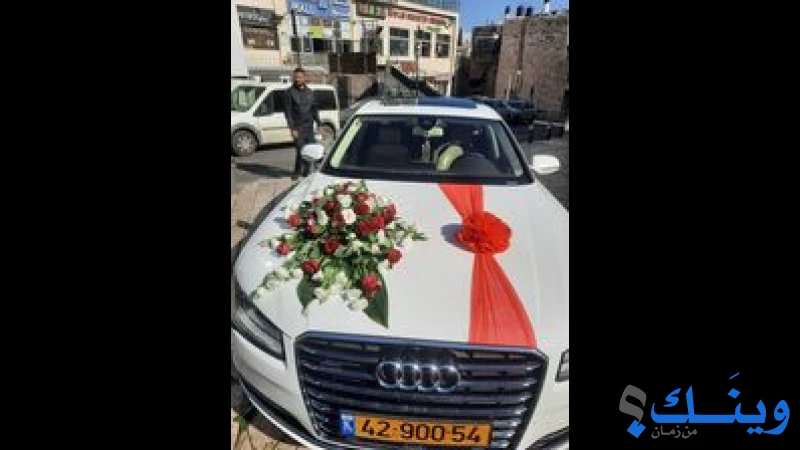 فينا للازهار