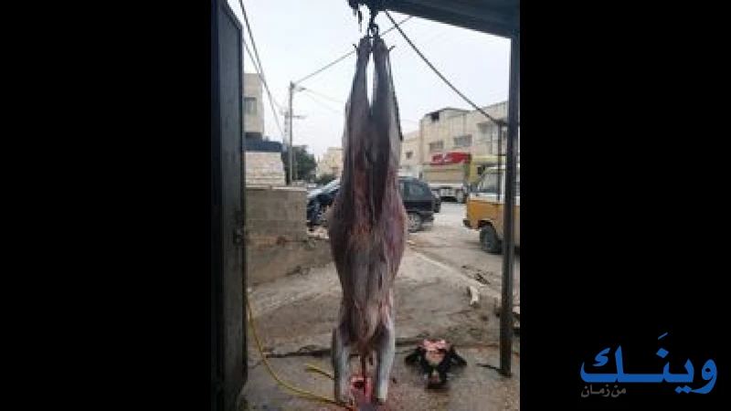 ملحمة جماعين
