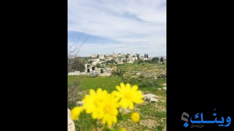 مجلس قروي النبي صالح