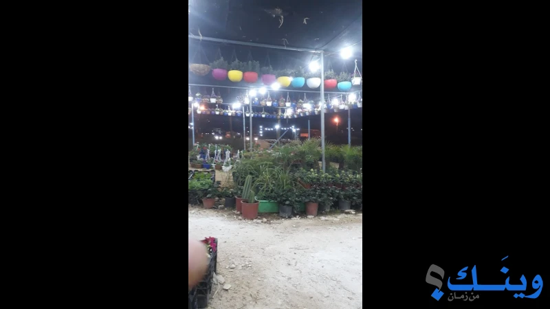 مشتل بيت امر