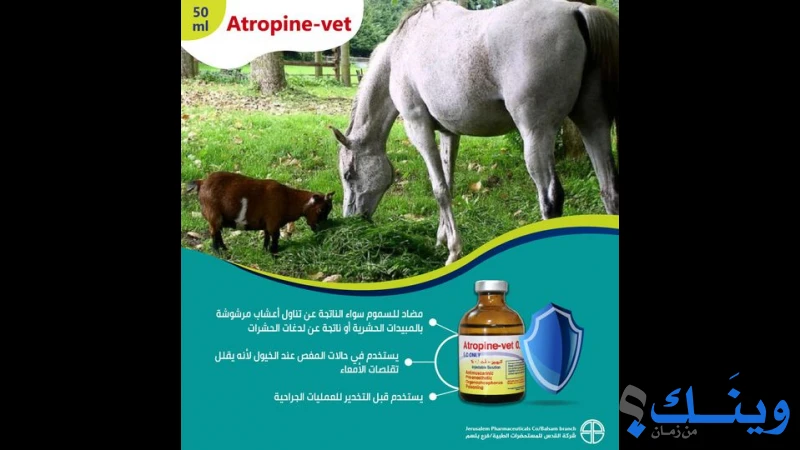 العيادة الطبية البيطرية