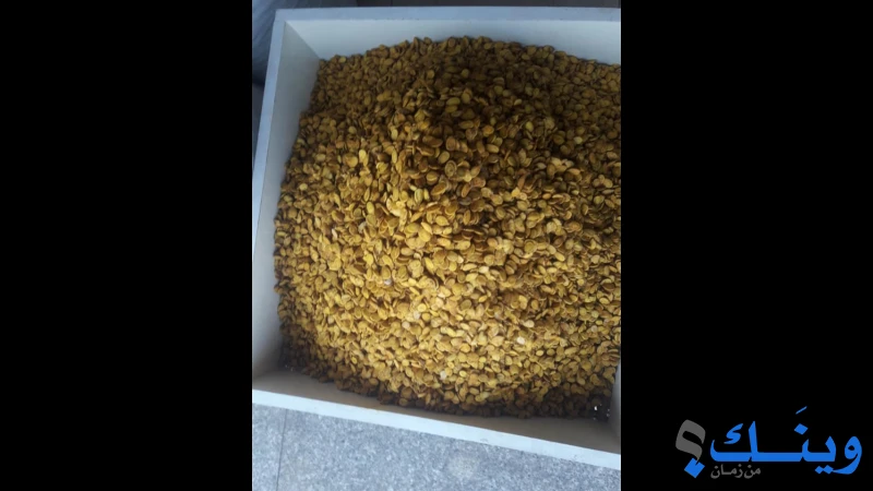 محمص وبن لؤلؤة الباشا