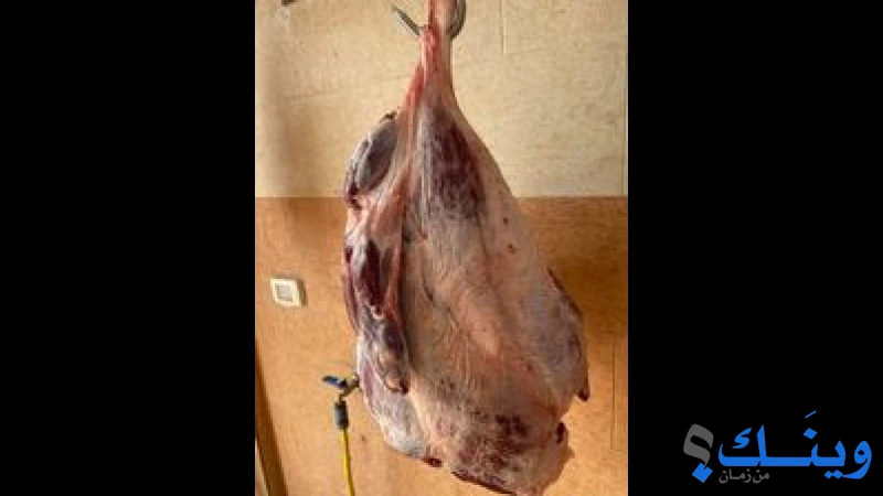 ملحمة البيك