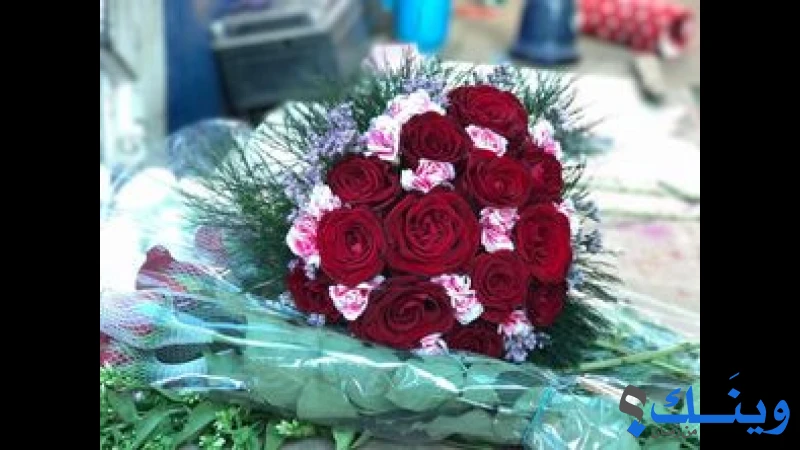 مشاتل شهوان