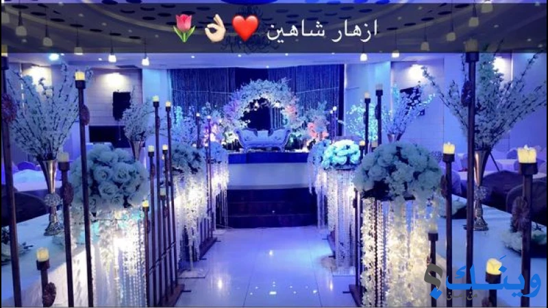 ازهار شاهين