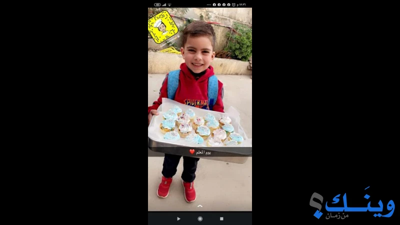 روضة ابو فلاح النموذجية
