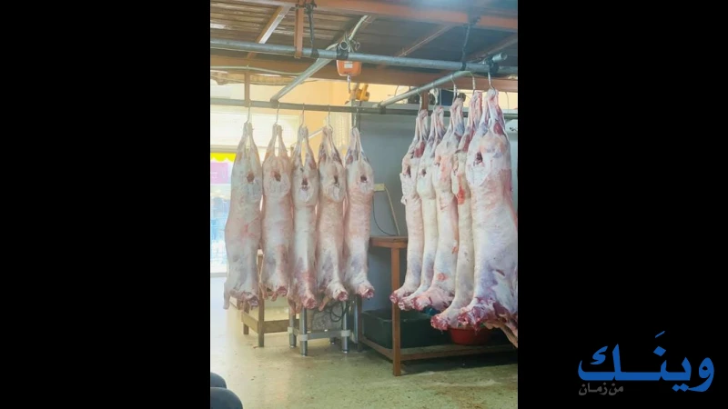 ملحمة الناطور