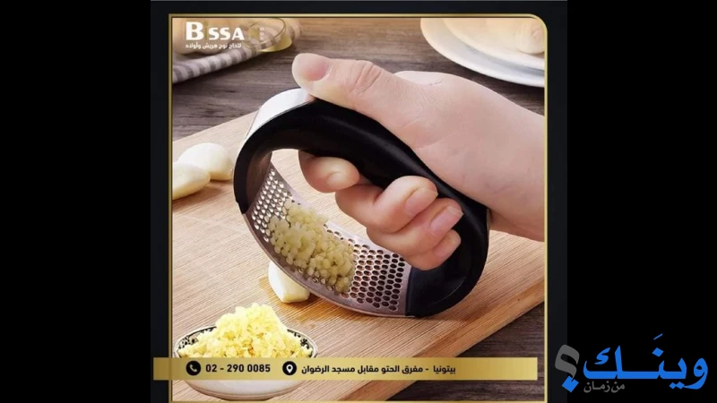 معرض بيسان