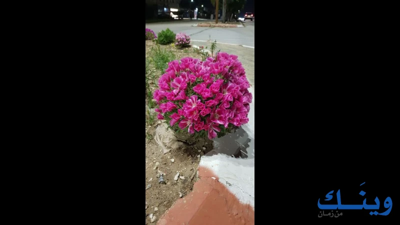 مشتل ابو لبدة