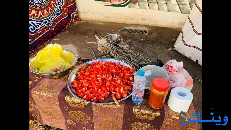 ستوديو النجوم