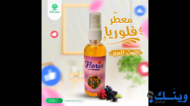 شركة حبوش اخوان