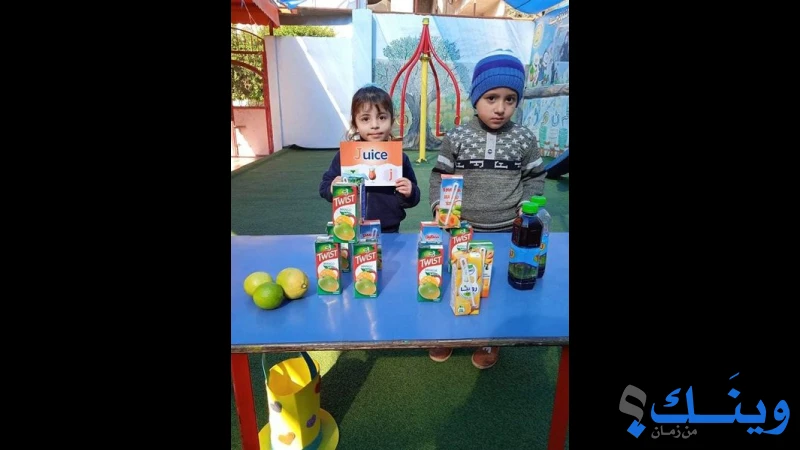 روضة الوسام النموذجية