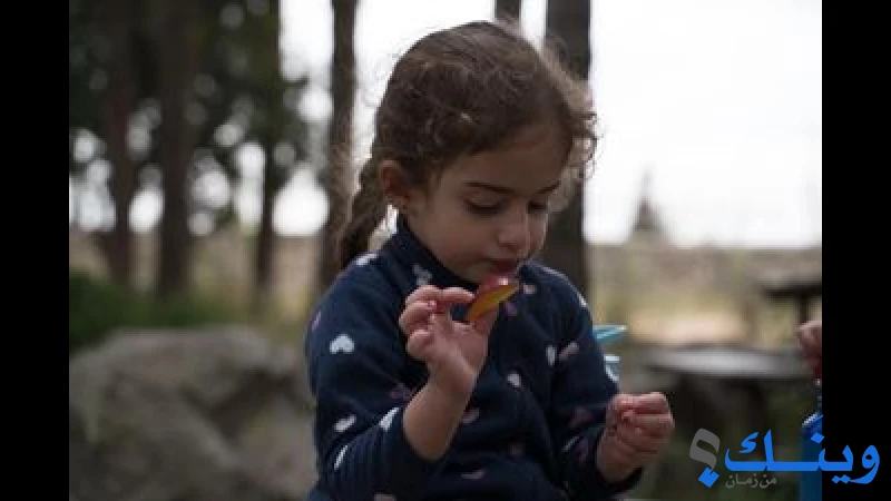 روضة حقل الرعاة