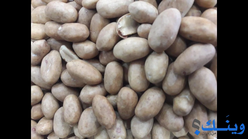 محمص وبن لؤلؤة الباشا