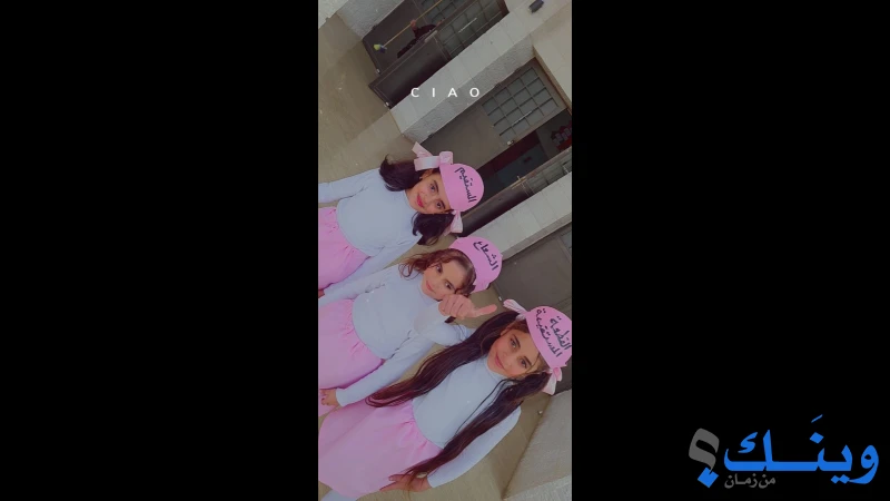 مدرسة بنات فحمة الثانوية