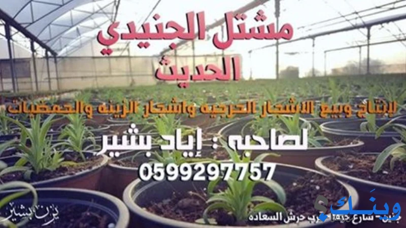 مشتل الجنيدي الحديث