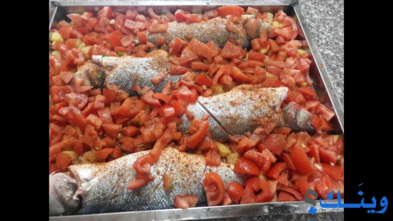 مسمكة سفينة الصياد