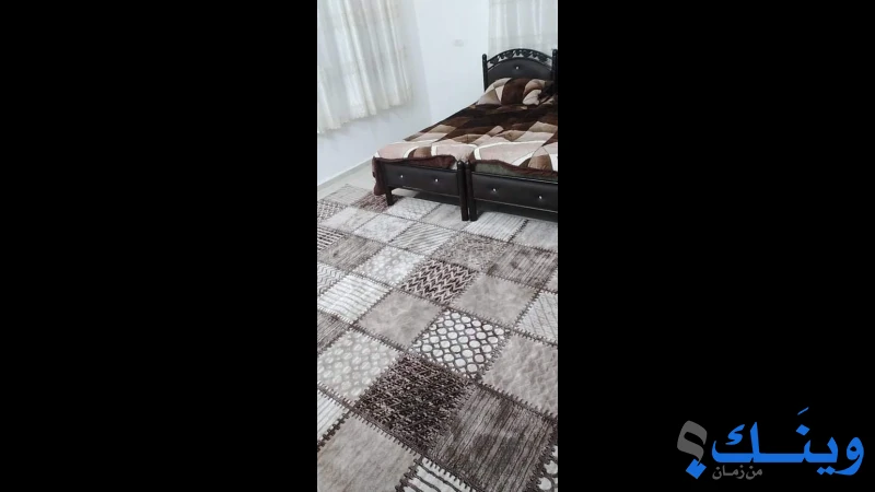 سجاد المستقبل