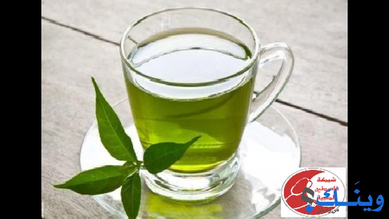 بهارات سندباد