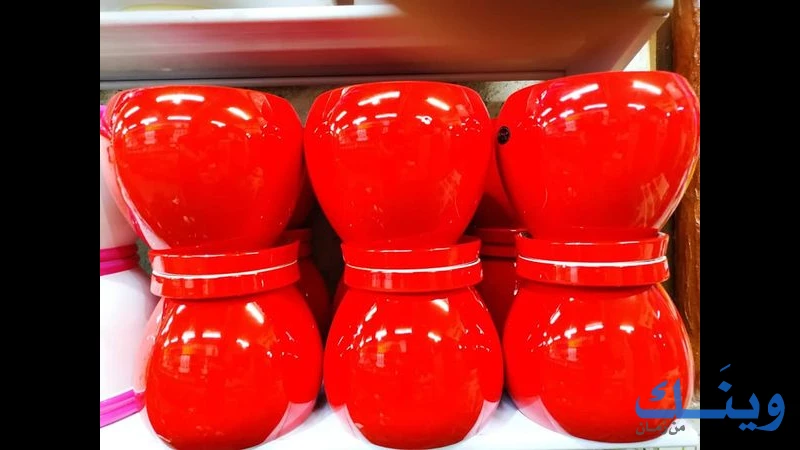 مشتل الوردة الحمراء