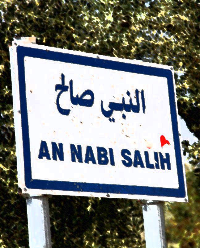 مجلس قروي النبي صالح