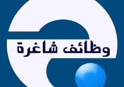 ابداع للتوظيف