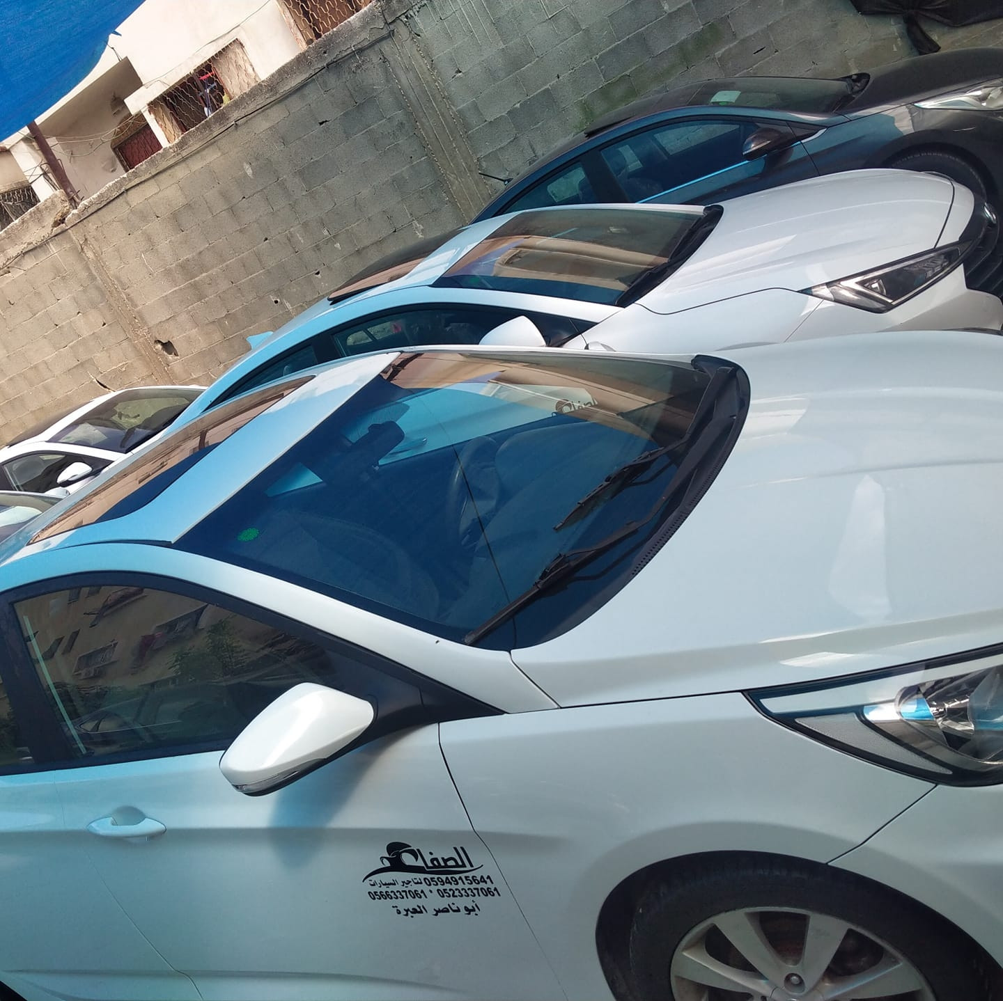 الصفا لتأجير السيارات