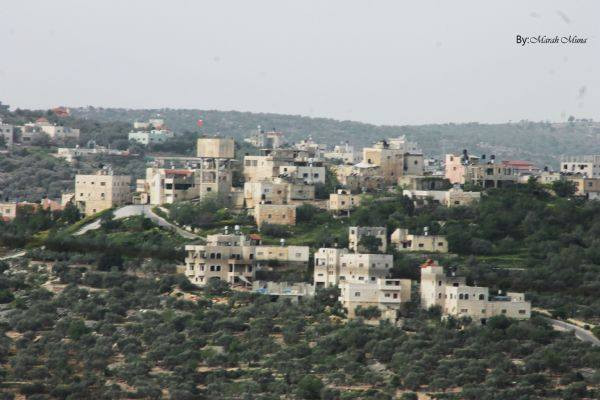 مجلس قروي زيتا