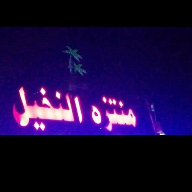 مسبح ومنتزه النخيل