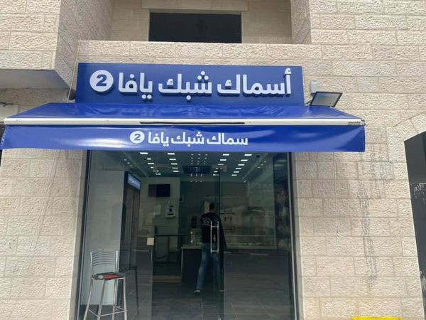 اسماك شبك يافا 2