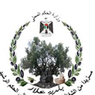 بلدية علار