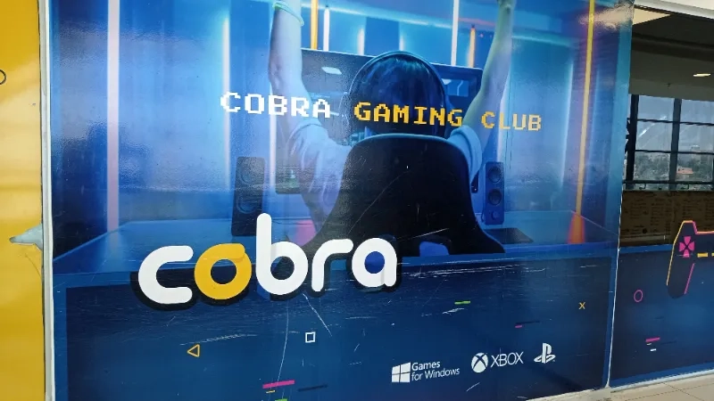 cobra gaming clube
