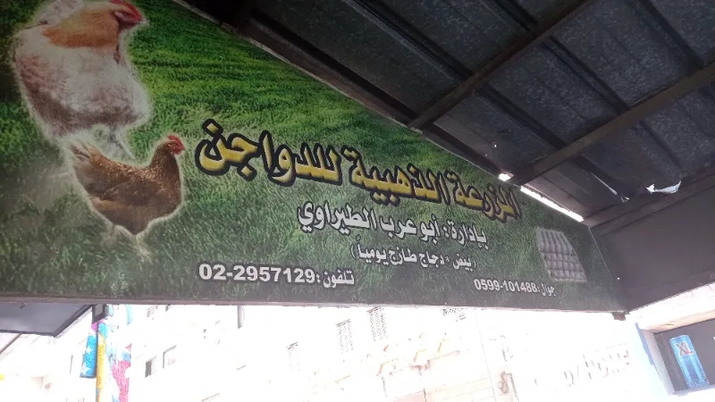 المزرعة الذهبية للدواجن