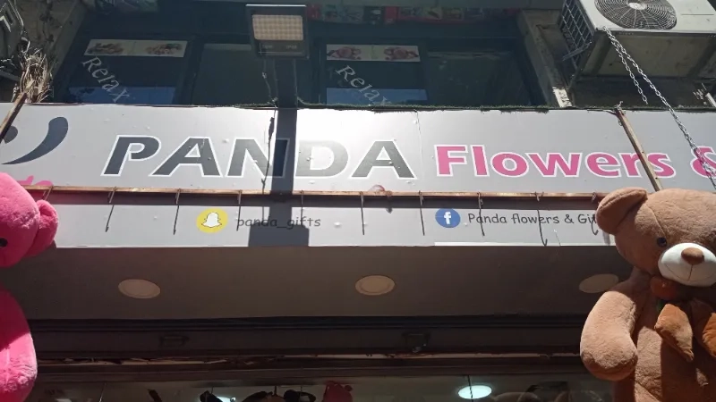 panda