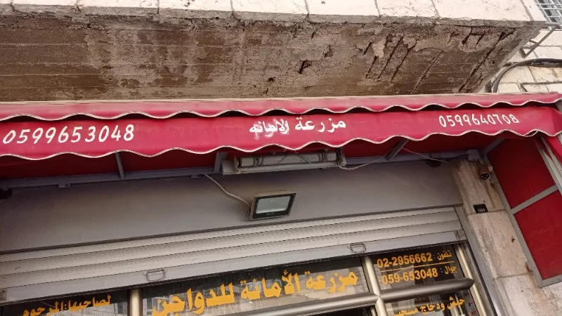 مزرعة الامانة