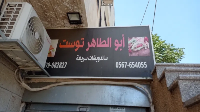 ابو الطاهر توست