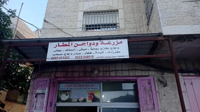 دواجن المطار