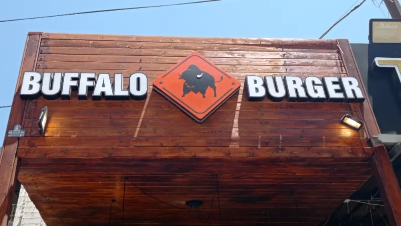 Buffalo burger