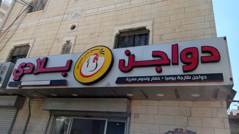 دواجن بلادي